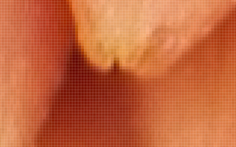Pixelated Raster Image